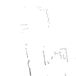 Zhang et al. reconstruction result