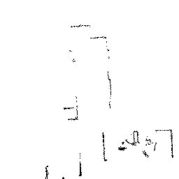 Scene 3 LiDAR ground truth
